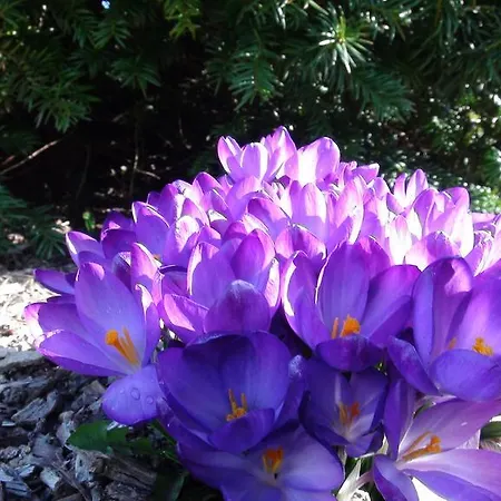 Maison d'hôtes Fennert Pritzwald