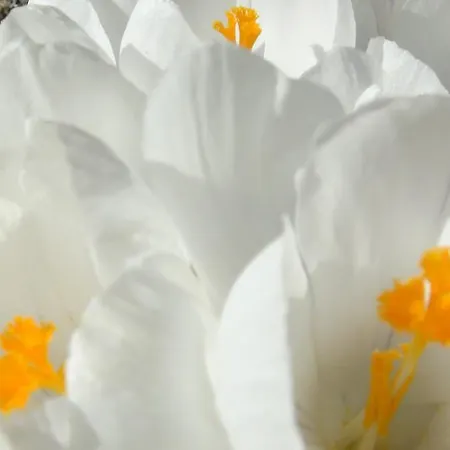 Maison d'hôtes Fennert Pritzwald